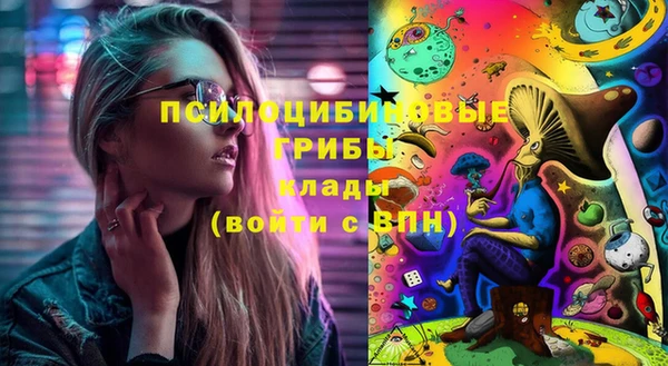 сатива Вязьма