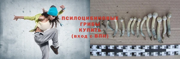 крисы Иноземцево