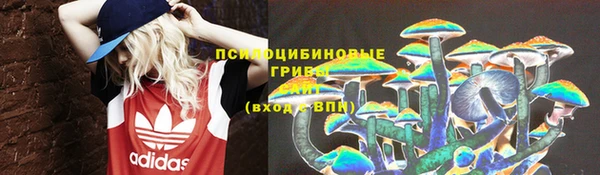 2c-b Кущёвская