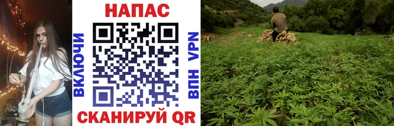 Бошки Шишки тримм Новая Ляля